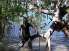 Fishing in the Mangrove