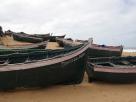Barques de pÃªche