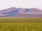 collines mongoles