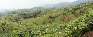 Kibira