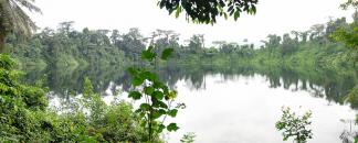 Limbe