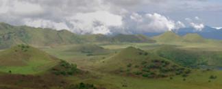 Melong