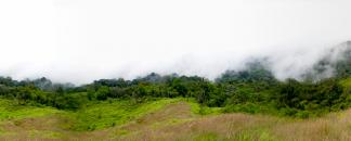 Mont Cameroun