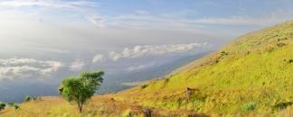 Mont Cameroun