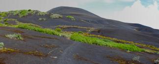 Mont Cameroun