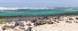 Fuerte-Ventura