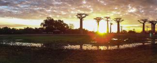 Morondava-Tsingis