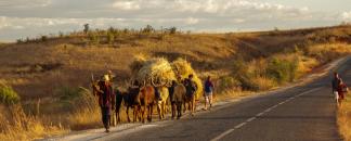 Morondava-Tsingis