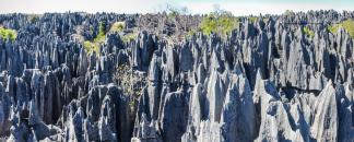 Morondava-Tsingis