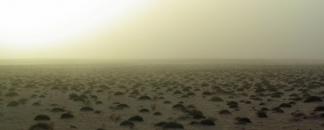 TempÃªte de sable