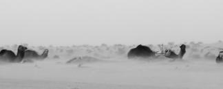 TempÃªte de sable